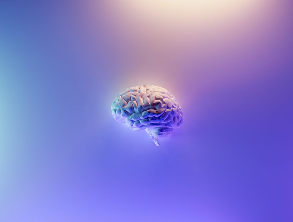 Bild på en 3D-hjärna