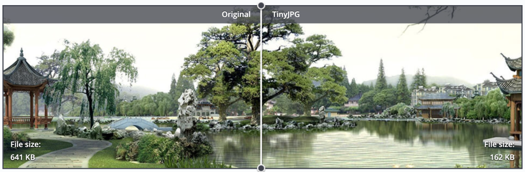 TinyJPG editor för optimerade bilder 